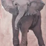2016