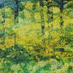 Mysterious forest