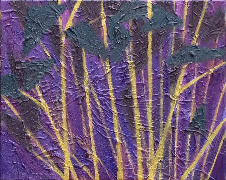 contact